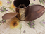 Immagine 6