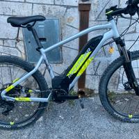 E-MTB rockrider eST520 sport trail