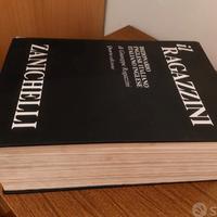 Dizionario Zanichelli 