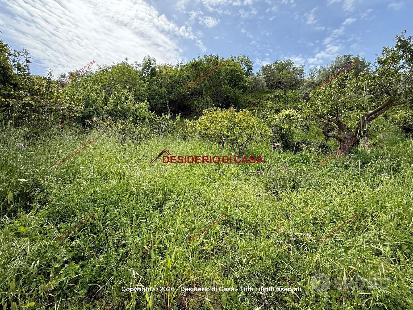 Terreno, Cefalù. - Altro