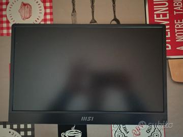 monitor usbc msi pro mp161 e2u