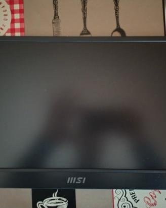 monitor usbc msi pro mp161 e2u