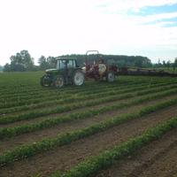 Botte diserbo Hardi carrellata