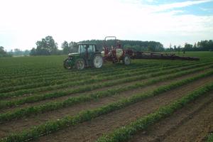 Botte diserbo Hardi carrellata