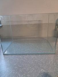 acquario