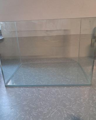 acquario