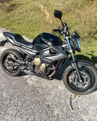 Yamaha XJ6