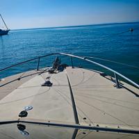 2 dissuasori gabbiano e uccelli 