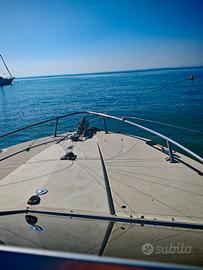 2 dissuasori gabbiano e uccelli 