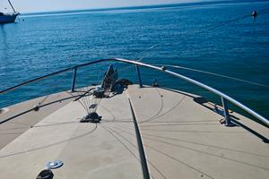 2 dissuasori gabbiano e uccelli 