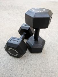 Manubri Xenios USA 17,5kg x2