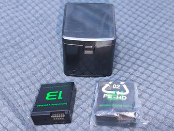 Carica Batterie + 2 Batterie GoPro Hero 13