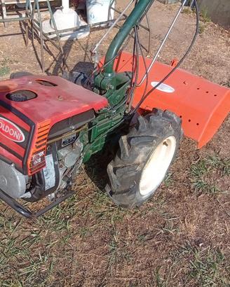 motocoltivatore  Goldoni super 611