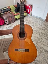 Chitara classica C40