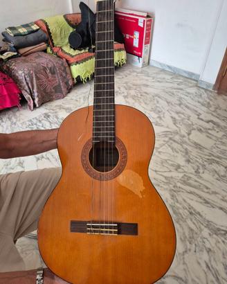 Chitara classica C40