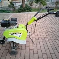  motozappa grillo 
