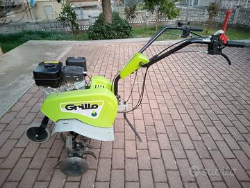  motozappa grillo 