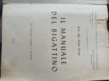 manuale 