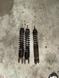 Ammortizzatori posteriori