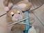 Immagine 4