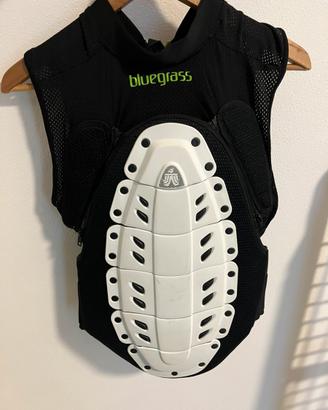 Paraschiena Bluegrass