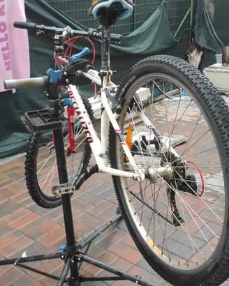MTB Specialized 