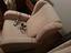 Immagine 1