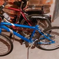 bicicletta ragazzo 24.5 