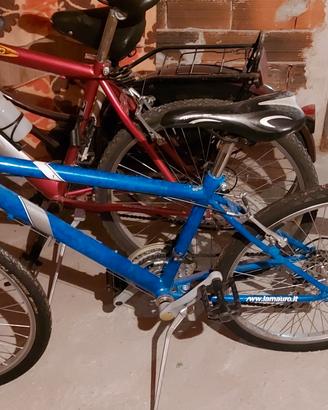 bicicletta ragazzo 24.5 
