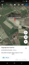 Terreno agricolo in località Lavezzole