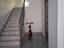 Immagine 15