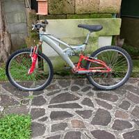 Bicicletta