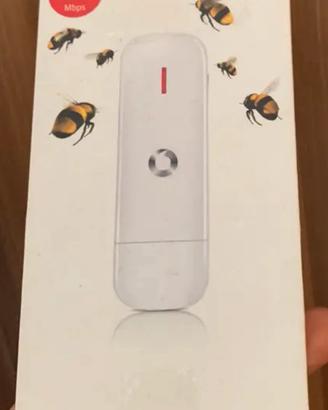 Internet key