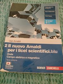 Il nuovo Amaldi licei scientifici 9788808566683