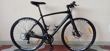 bici Specialized Roubaix