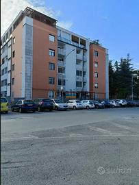 Box auto Macchia Gialla