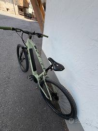 Bici elettica