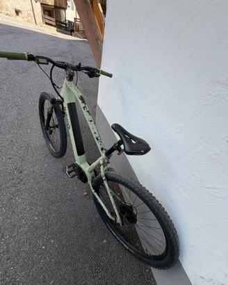 Bici elettica