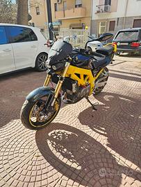 Suzuki SV 650 - 2001