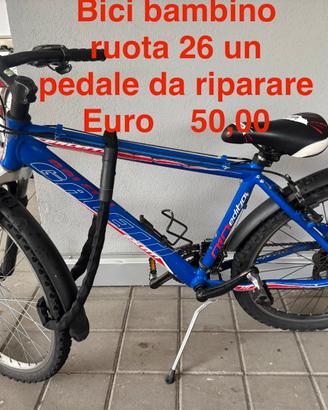 Bicicletta  ruota 26