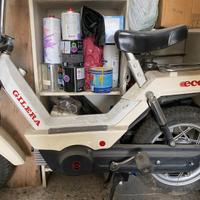 Eco gilera