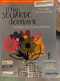Il tuo sguardo domani B