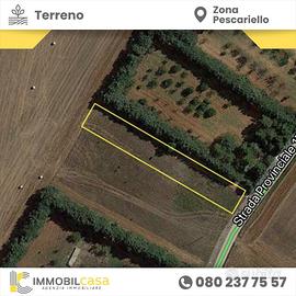 terreno-agricolo-altamura-zona-pescariello