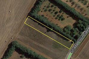 terreno-agricolo-altamura-zona-pescariello