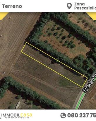 terreno-agricolo-altamura-zona-pescariello
