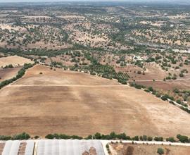 Terreno a Noto (SR)