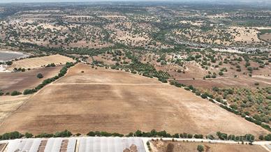 Terreno a Noto (SR)