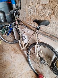 Mountain bike