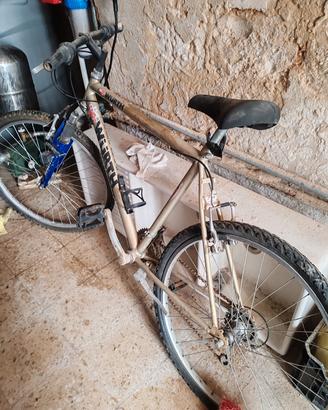 Mountain bike
