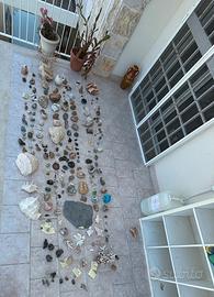 Minerali fossili cochiglie e coralli